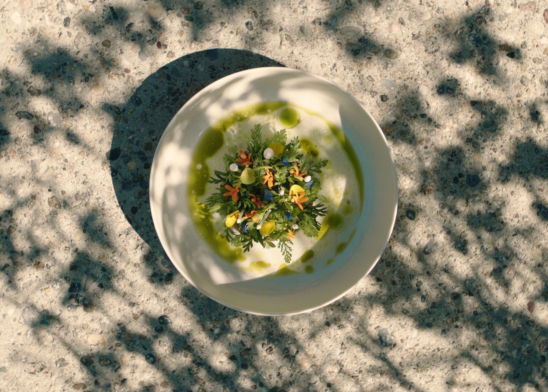 Eine weiße Schale mit einem farbenfrohen, kunstvoll arrangierten Salat, garniert mit Kräutern und essbaren Blüten, steht auf einer strukturierten Oberfläche im gedämpften Sonnenlicht - ein einladendes Gericht im vegetarischen Restaurant des The Dolder Grand, perfekt für vegetarische und vegane Liebhaber.